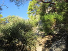 photo thumbnail #12