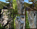 photo thumbnail #10