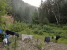 photo thumbnail #5