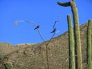 photo thumbnail #8