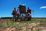 photo thumbnail #9