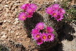 photo thumbnail #12