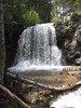 Featured Full Photo