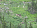 photo thumbnail #15
