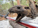 photo thumbnail #8