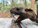 photo thumbnail #13