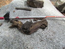 photo thumbnail #14