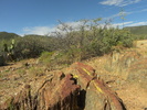 photo thumbnail #3