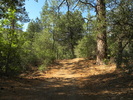 photo thumbnail #5
