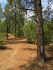 photo thumbnail #9