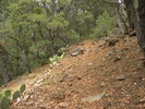 photo thumbnail #14