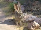 photo thumbnail #2