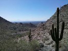 photo thumbnail #1