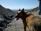 photo thumbnail #3