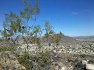 photo thumbnail #2