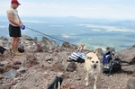 photo thumbnail #8