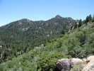 photo thumbnail #3