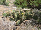 photo thumbnail #5