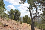photo thumbnail #4