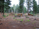 photo thumbnail #6