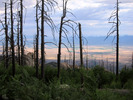 photo thumbnail #10