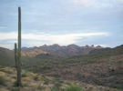 photo thumbnail #2