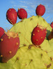 photo thumbnail #11