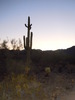 photo thumbnail #1