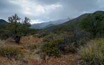 photo thumbnail #2