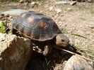 photo thumbnail #4