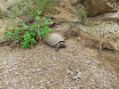 photo thumbnail #13