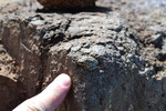 photo thumbnail #5