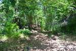 photo thumbnail #8