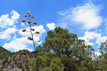photo thumbnail #14