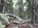 photo thumbnail #7