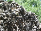 photo thumbnail #2