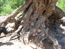 photo thumbnail #6
