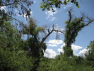 photo thumbnail #7