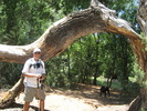 photo thumbnail #8