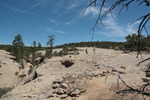 photo thumbnail #9