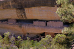 photo thumbnail #10