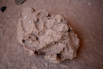 photo thumbnail #15