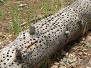 photo thumbnail #5