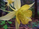 photo thumbnail #14
