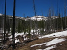photo thumbnail #5