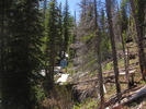 photo thumbnail #4