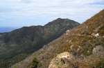 photo thumbnail #2