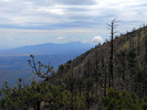 photo thumbnail #11