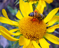 photo thumbnail #13