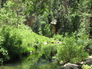 photo thumbnail #10